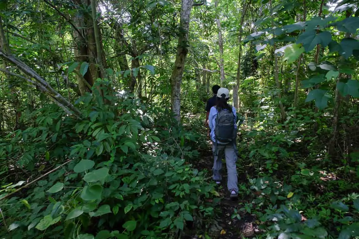 tangkoko national park