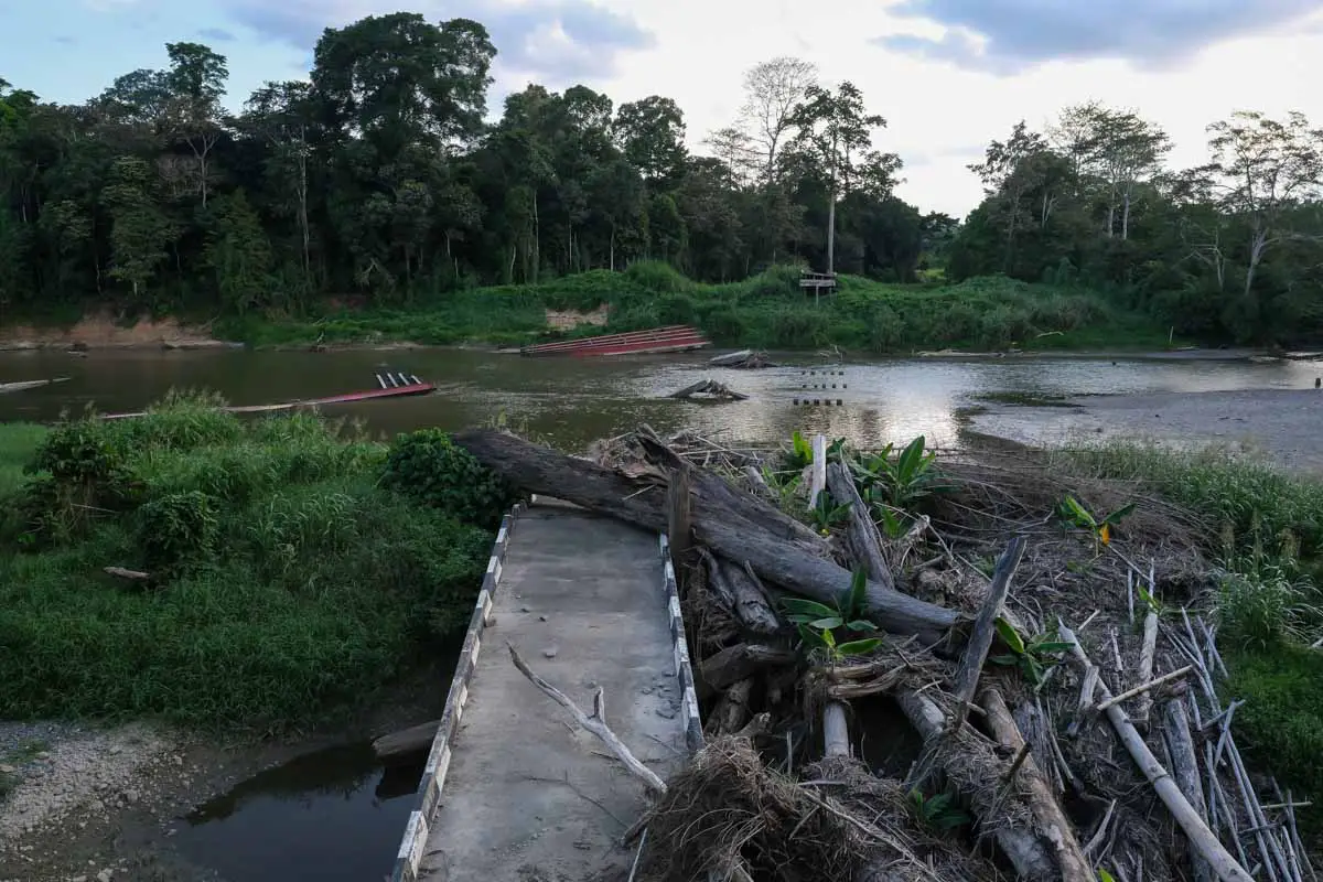 borneo_orangutan_tour_bukit_piton_segama_river