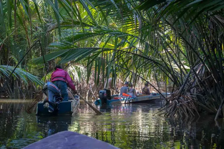 sungai-kapur-borneo-river-cruise