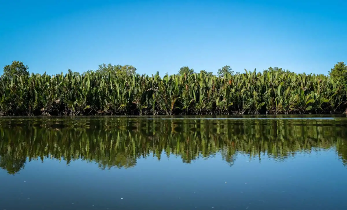 sungai-kapur-borneo-river-cruise