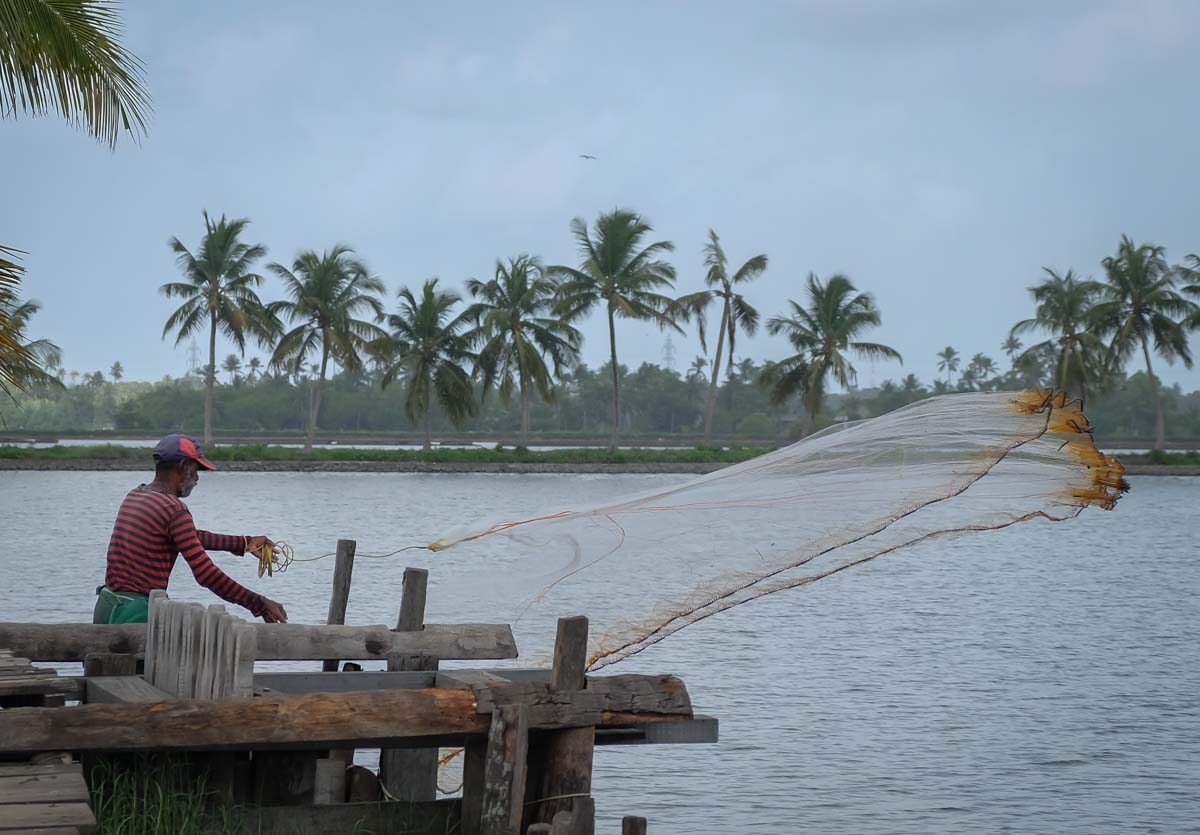 Fisherman casting his net during a kochi backwaters bicycle tour