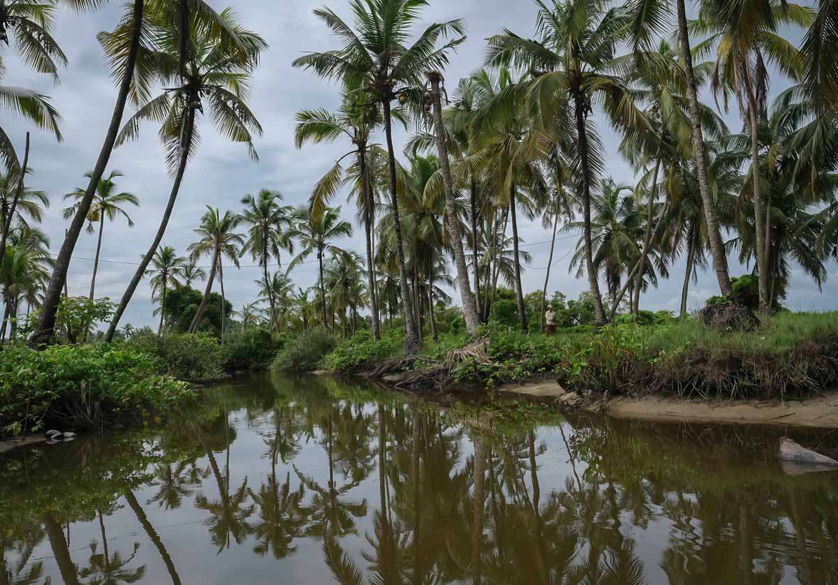 Kerala Itinerary Alleppey backwaters