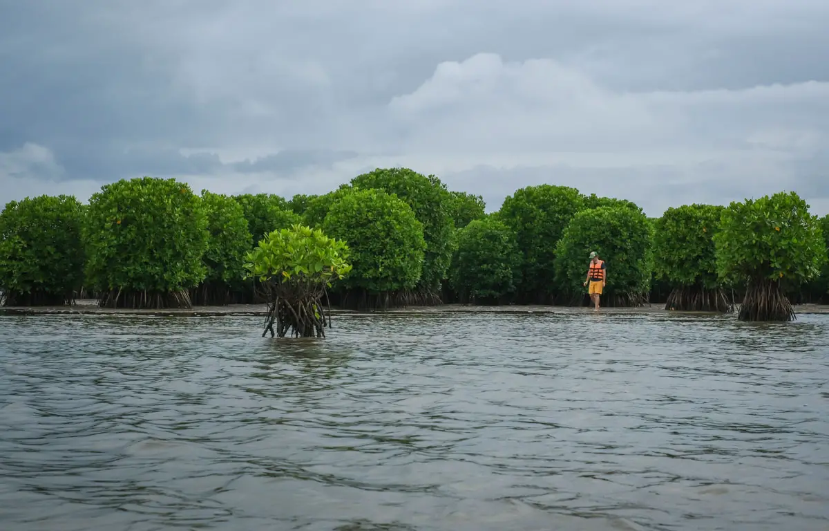 kerala itinerary valyaparamba backwaters payyanur