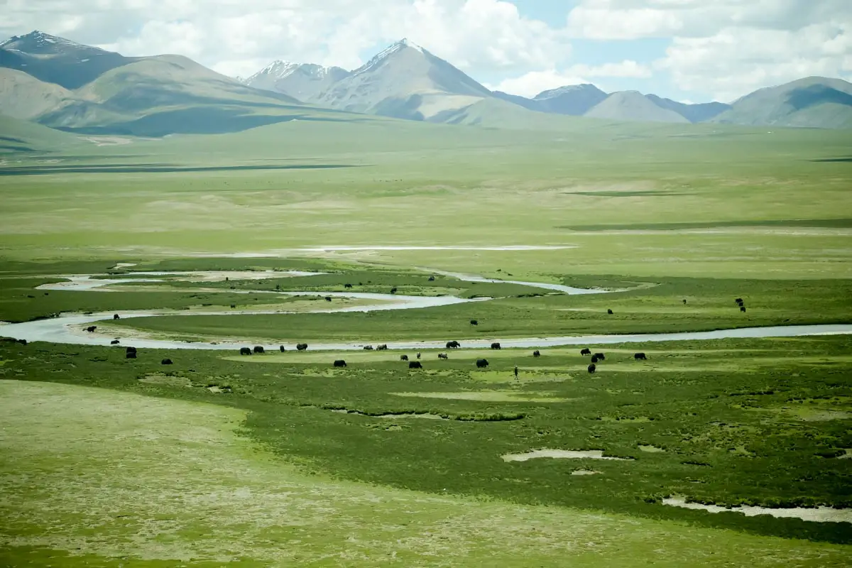 xining_to_lhasa_train