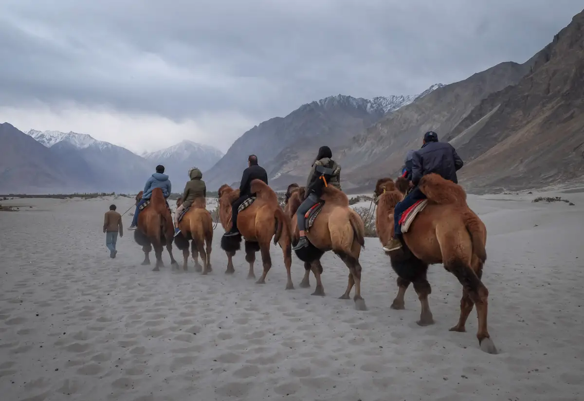 best time to visit Ladakh Nubra valley