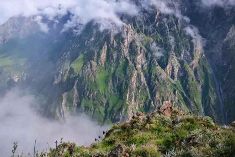 Peru Visa renew colca canyon