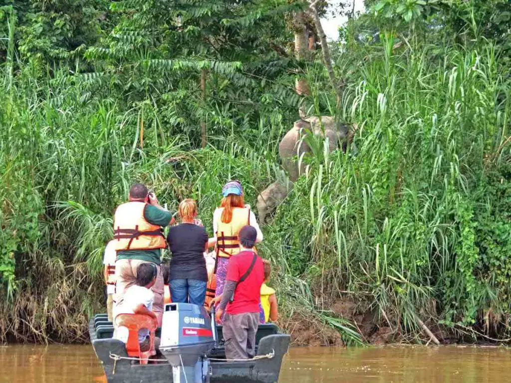 Kinabatangan_river_short_gateways_malaysia