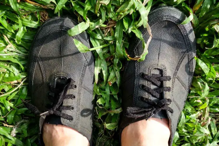 5 Reasons Adidas Kampung are the Best Hiking Shoes in Malaysia