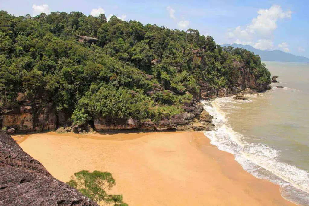 Borneo beach Teluk Pandan Kecil in Bako National park