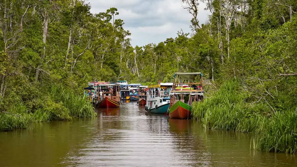 Tanjung puting national park river borneo beach