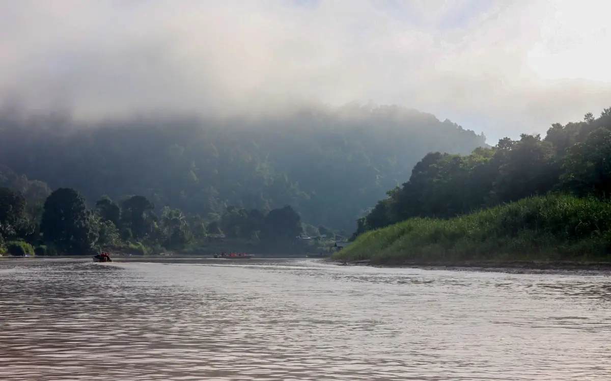 cruise on kinabatangan river sabah sandakan