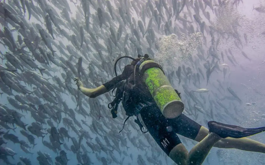 Diving at Sipadan island